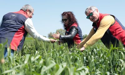 Çanakkale’de tarım arazileri mercek altında