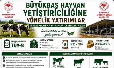 Çanakkale’de tarım ve hayvancılıkta büyük fırsat: Hibe başvuruları başladı!