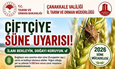 Çiftçiye süne uyarısı: “İlanı bekleyin, doğayı koruyun”
