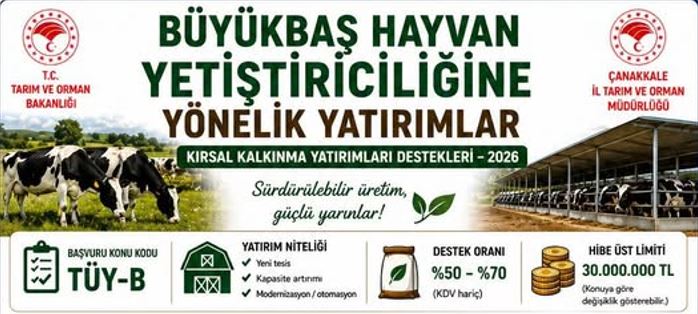 121428_wuciwug_52832579_canakkale-de-ta.jpeg