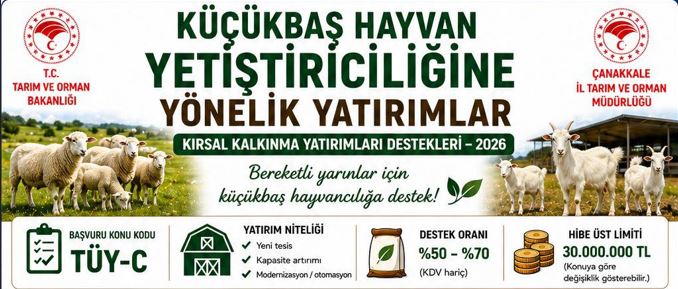 121428_wuciwug_6344d67e_canakkale-de-ta.jpeg