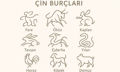 10 Mayıs 2026 Pazar günü Çin Burcu Yorumları