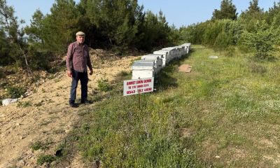 Çanakkale'de yavru arı bolluğu üreticinin yüzünü güldürdü