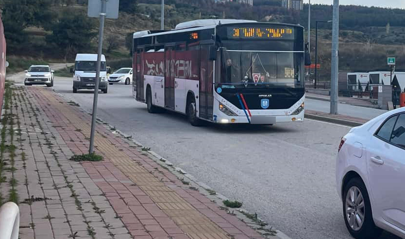 121854_wuciwug_8359f188_pes-pese-sefer.jpeg