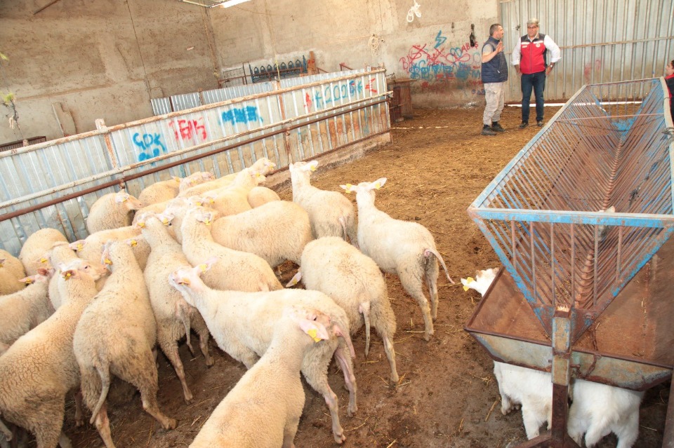 121873_wuciwug_14882a6e_canakkale-de-as.jpeg