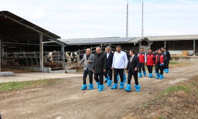 Biga'da Kurban Bayramı öncesi hayvancılık işletmelerinde inceleme