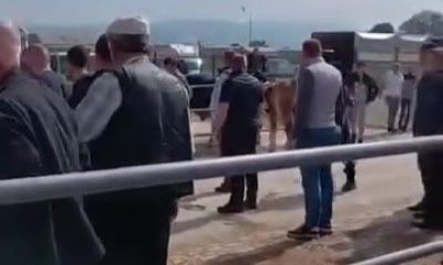 Kurban pazarında kavga: Jandarma havaya ateş açtı, kadın astsubay araya girdi