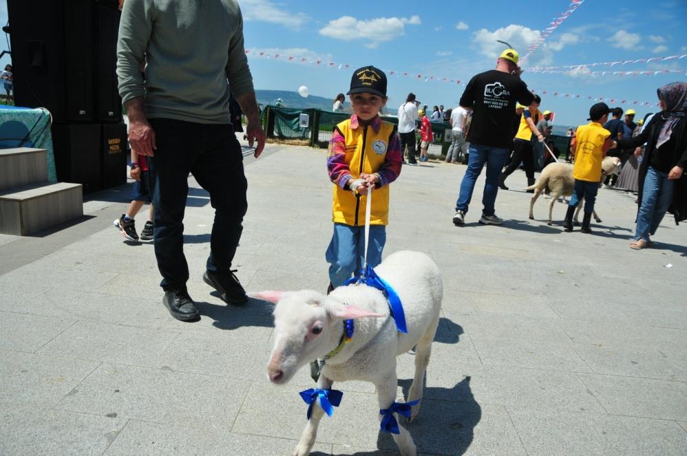 121949_wuciwug_5d28294d_canakkale-de-bo.jpeg