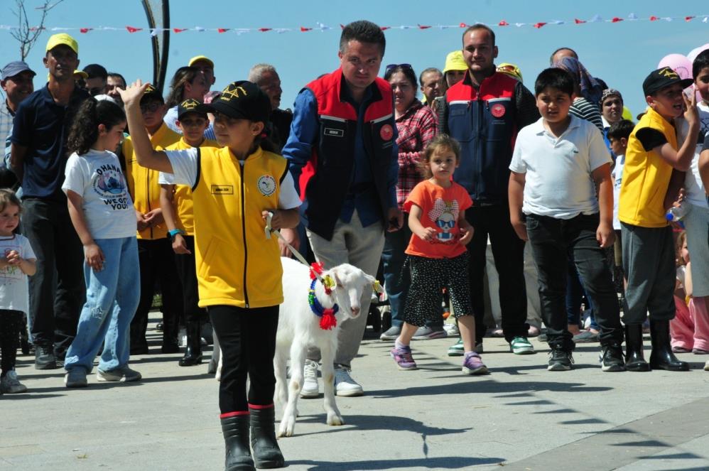 121949_wuciwug_fe0d7805_canakkale-de-bo.jpeg