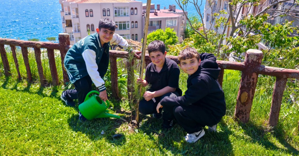 121960_wuciwug_92544f88_gelibolu-da-sev.jpeg
