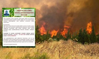 Çanakkale'de il genelinde ormanlara giriş 1 Haziran'dan itibaren yasaklandı!