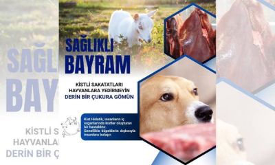 Çanakkale İl Sağlık Müdürlüğünden Kist Hidatik Hastalığına Karşı Hayati Uyarılar