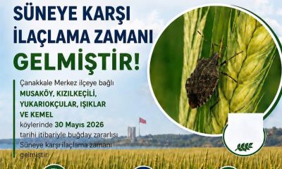 Çiftçiye kritik çağrı: Geç kalınan mücadele verim kaybına yol açabilir