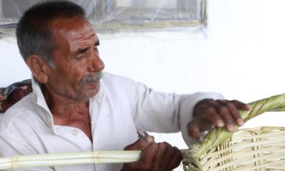 Plastik çıktı, Romanların 100 yıllık sepet geleneği yok olmaya başladı