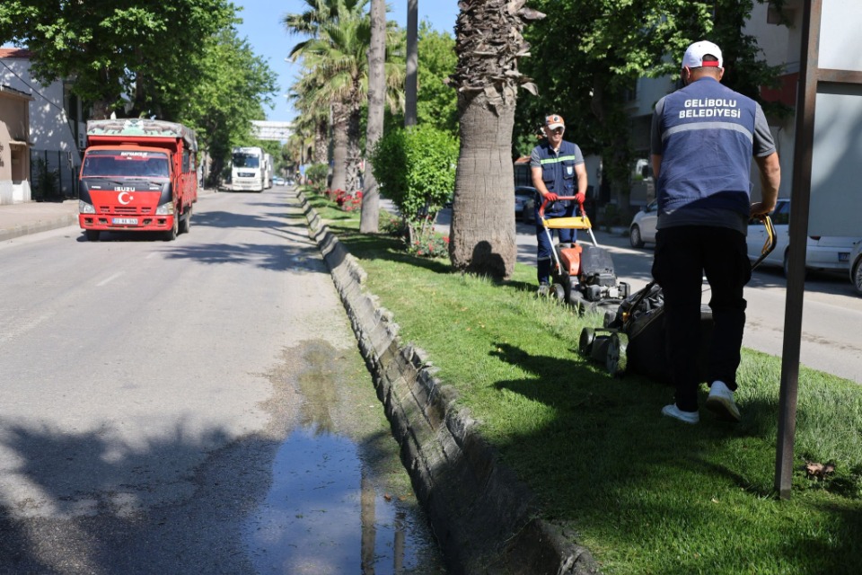 122510_wuciwug_126d0e11_cadde-cadde-sok.jpeg