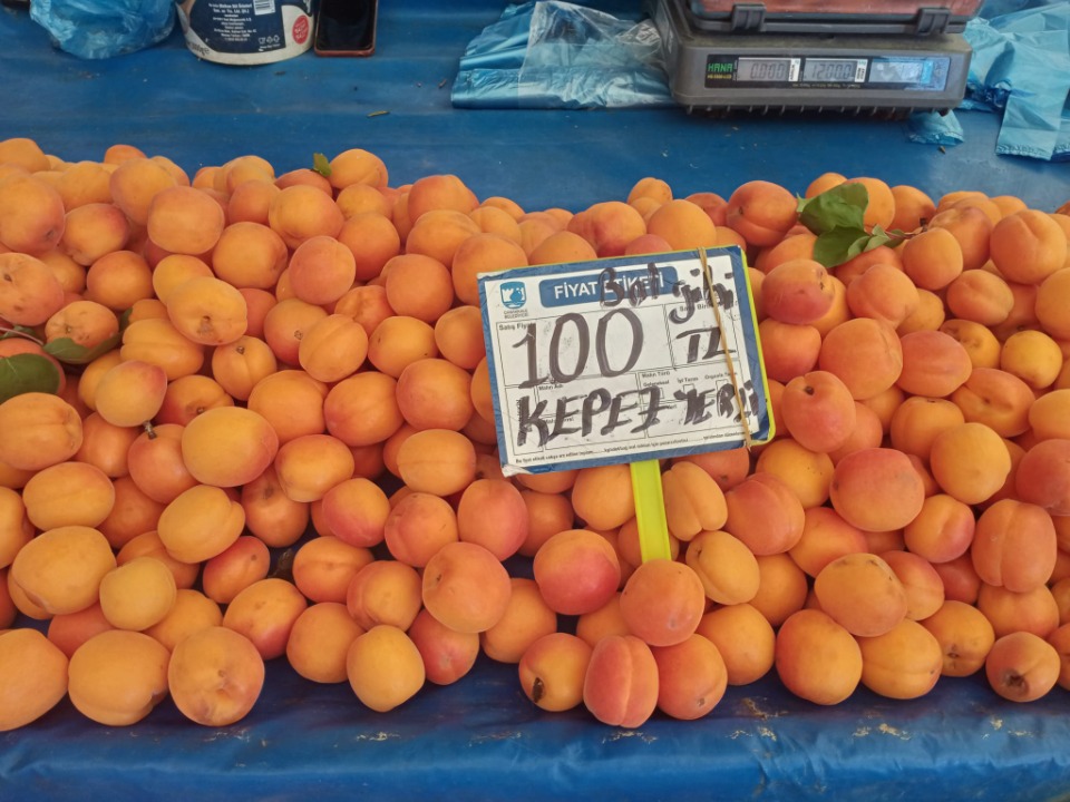 122541_wuciwug_250e5869_sali-pazari-nin.jpeg