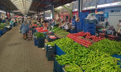 Salı Pazarı'nın Şampiyonu Kapya Biber ve Asma Yaprağı