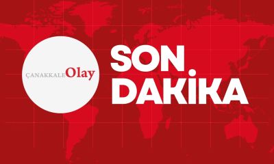 Ayvacık Paşaköy'de yangın!