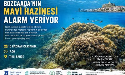 Bozcaada’nın mavi hazinesi alarm veriyor