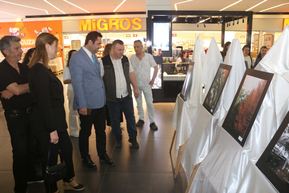 122945_wuciwug_226dda73_biga-da-genc-vi.jpeg