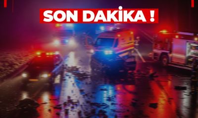 Kepez–Dardanos Arasında Şüpheli Ölüm: Ağaçlık Alanda Cansız Beden Bulundu