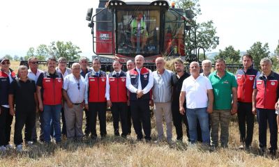 Biga'da mera ıslahı hasadı yapıldı, Ari İşletme sertifikası verildi