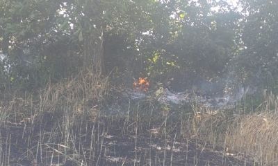 Çan’da tarla yangınında 2 ekili alan kül oldu