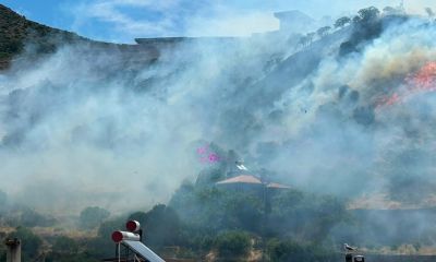 Ayvacık'taki yangın kontrol altına alındı