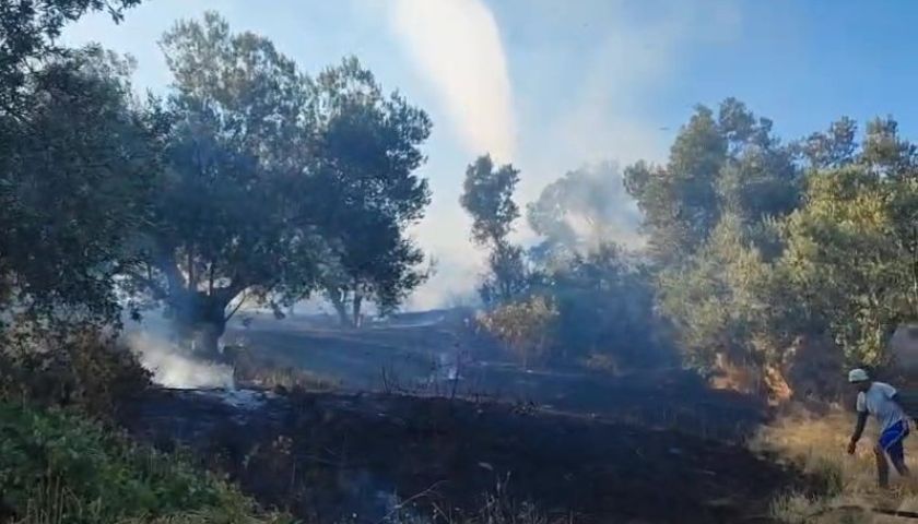 Ayvacık Sazlı köyü kırsalında yangın