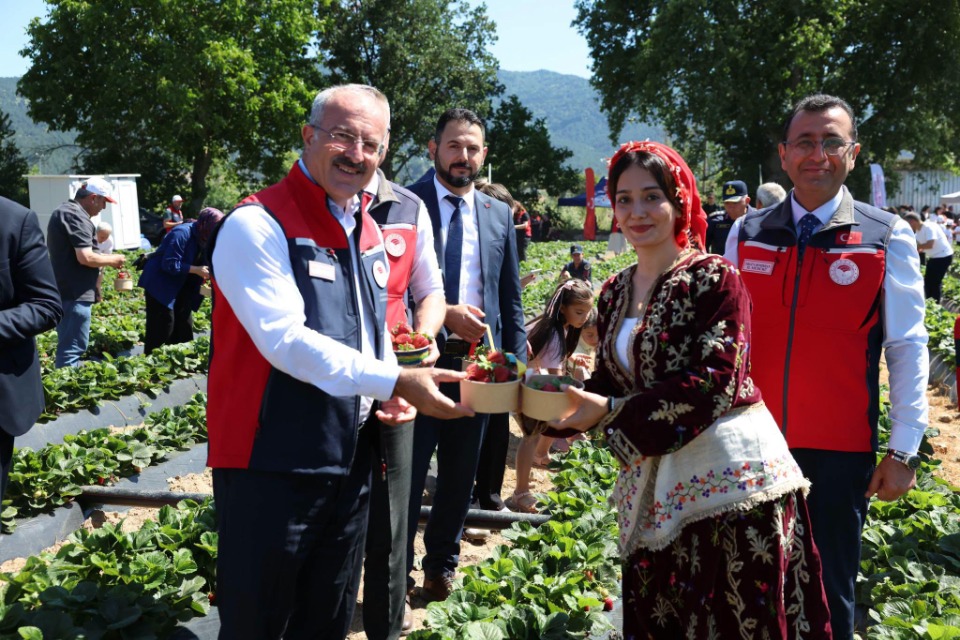 123315_wuciwug_2ea2ba53_kazdaglari-nin.jpeg
