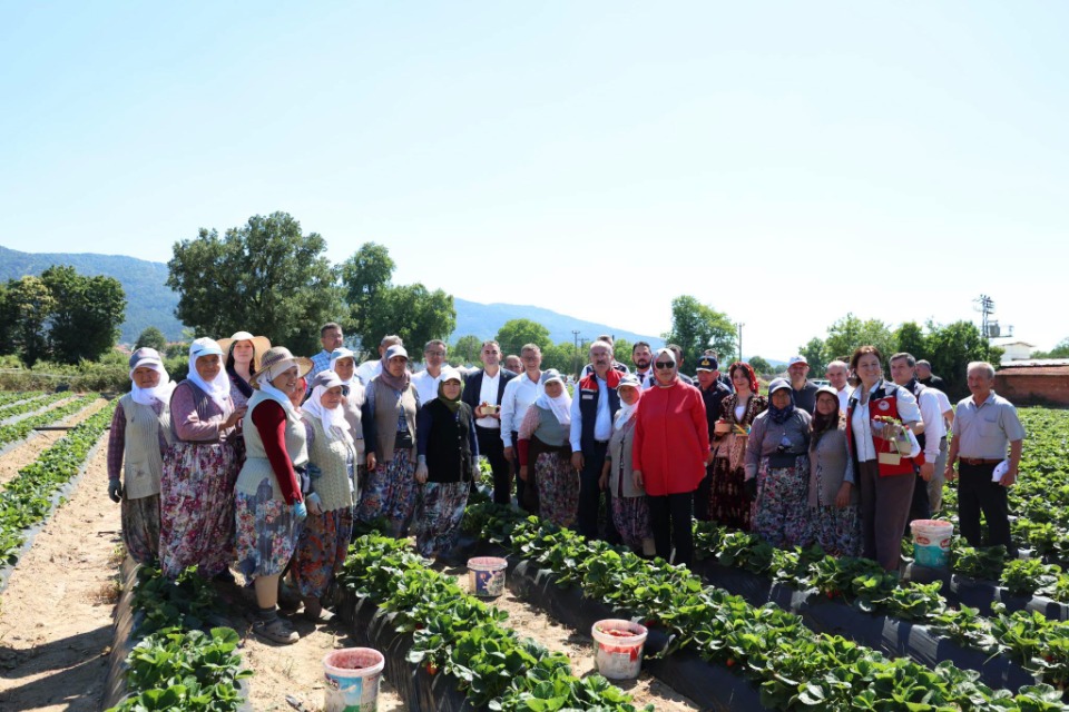 123315_wuciwug_66d2f386_kazdaglari-nin.jpeg