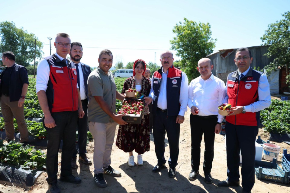 123315_wuciwug_6d1513a5_kazdaglari-nin.jpeg