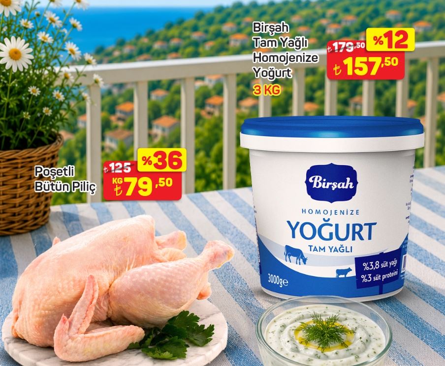 123324_wuciwug_fe013af9_a101-den-yaz-fi.jpeg