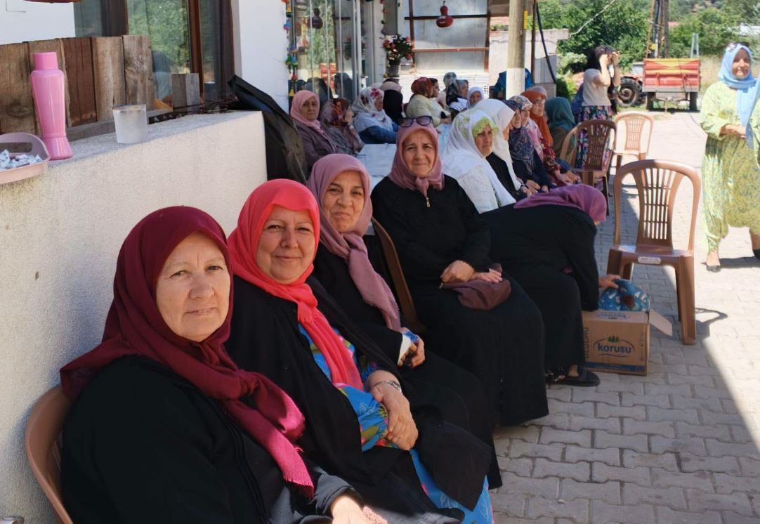 123494_wuciwug_27919802_biga-sinekci-ko.jpeg