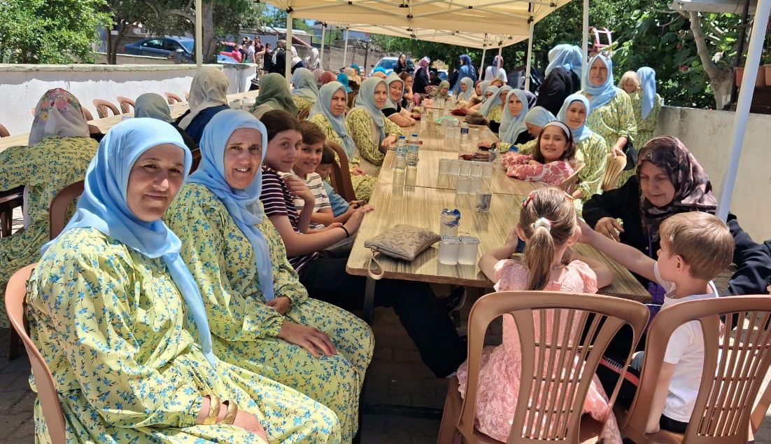 123494_wuciwug_ff4b4d83_biga-sinekci-ko.jpeg