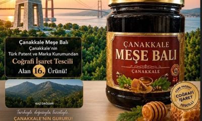 Çanakkale meşe balı coğrafi işaret aldı!