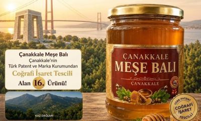 Çanakkale meşe balı coğrafi işaret aldı!