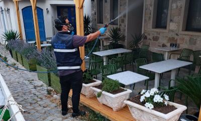 Bozcaada'da vektörle mücadele sürüyor