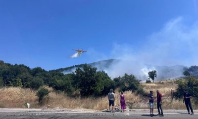 Ayvacık'ta orman yangını kontrol altına alındı     