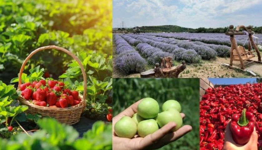 Çanakkale üretiyor, Türkiye büyüyor