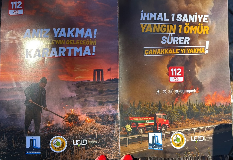 123932_wuciwug_a90d5943_orman-dedektifi.jpeg
