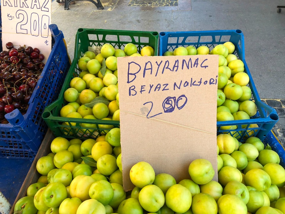 123945_wuciwug_f628e47e_insanlar-suya-b.jpeg