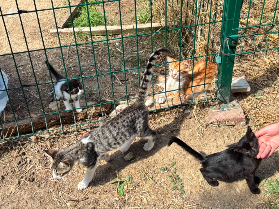 124061_wuciwug_4ba95e04_bariskent-parki.jpeg