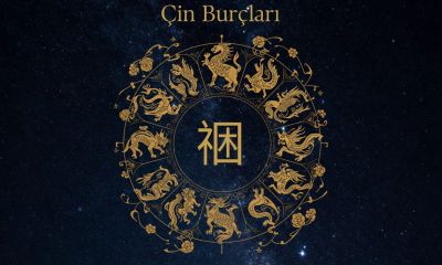17 Temmuz 2026 Cuma Günü Çin Burcu Yorumları