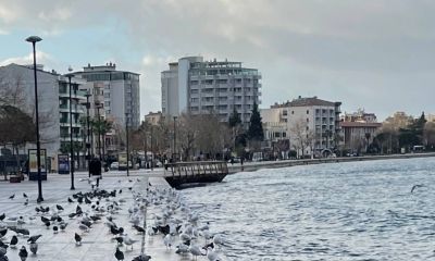 Çanakkale’de Konut Satışları Tekrar Yükselişte: Haziran Ayında Bin Sınırı Aşıldı