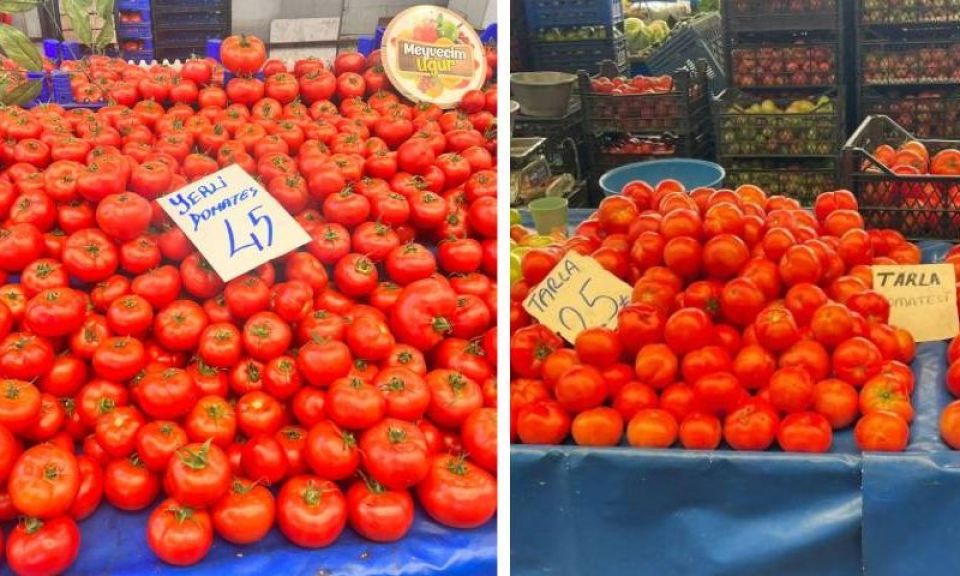 25 liraya da var, 80 liraya da! Çanakkale Pazar Pazarında domates bolluğu