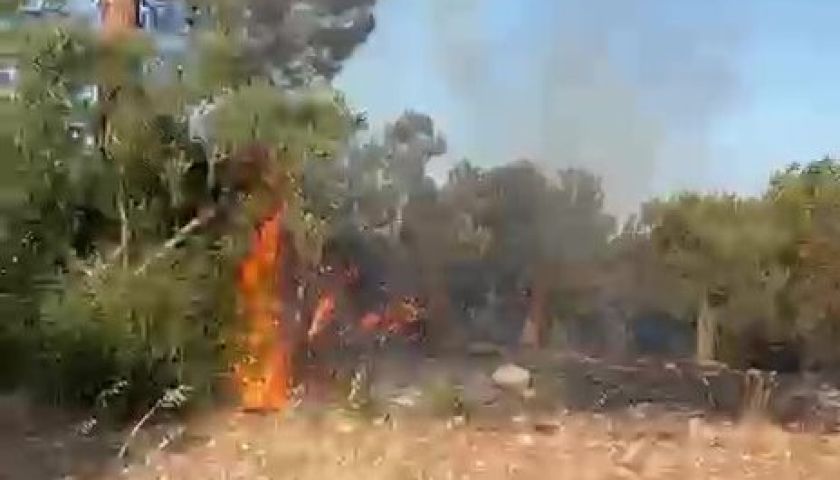 Geyikli'deki yangın korkuttu