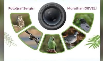 Doğanın ve sanatın buluşma noktası: Kuş uçuşu sergisi bugün kapılarını açıyor