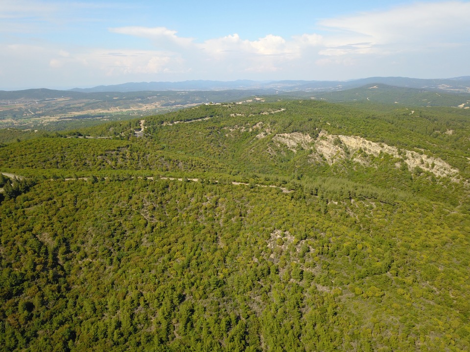 124232_wuciwug_56652920_kocacimentepe-b.jpeg