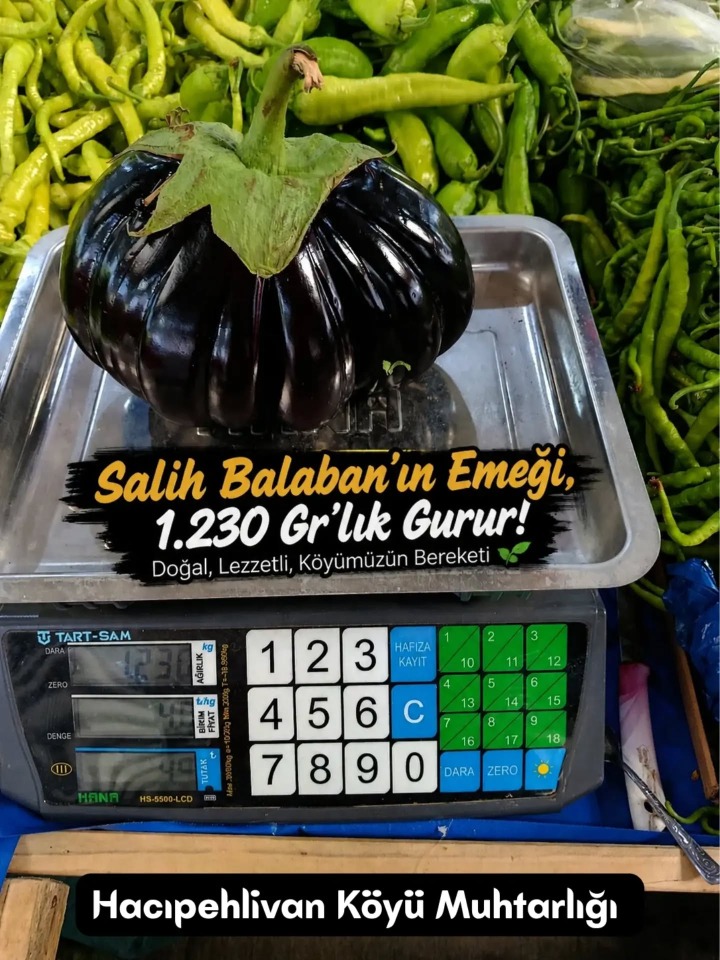 124286_wuciwug_93f08284_gorenleri-sasir.jpeg
